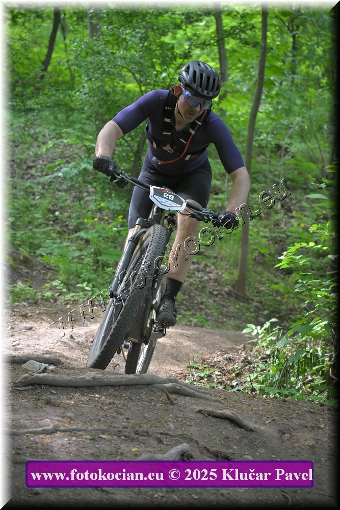 Náhled obrázku: 2025-2489-Most-28.JPG