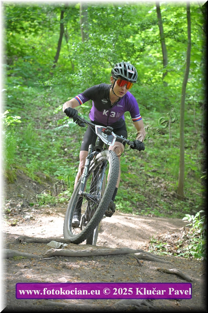 Náhled obrázku: 2025-2492-Most-82.JPG