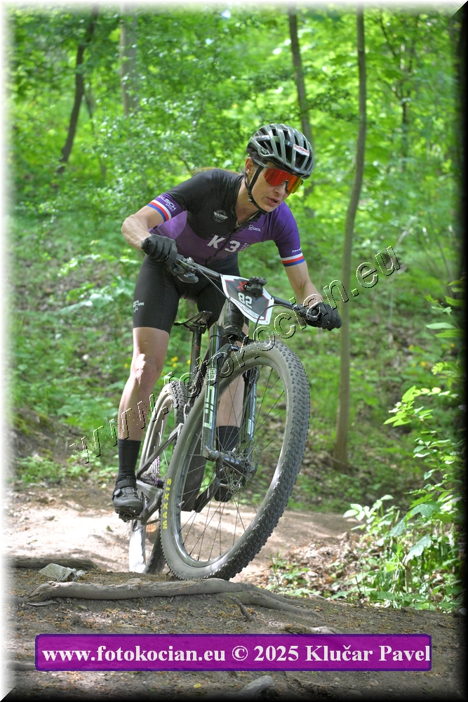 Náhled obrázku: 2025-2493-Most-82.JPG