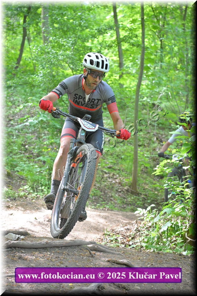 Náhled obrázku: 2025-2498-Most-106.JPG