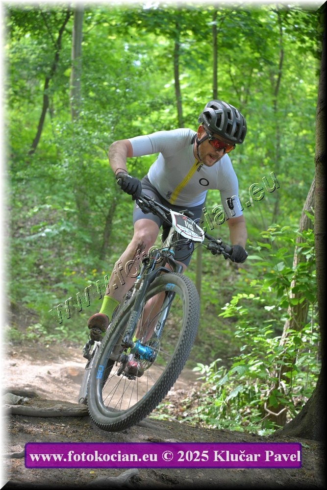 Náhled obrázku: 2025-2501-Most-116.JPG