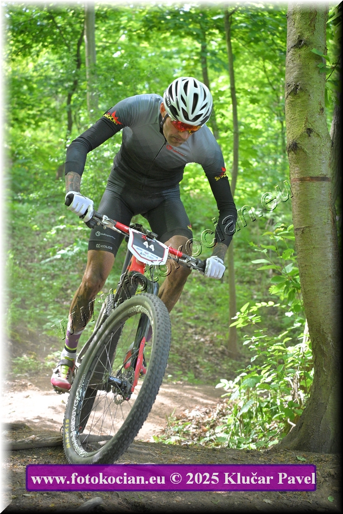 Náhled obrázku: 2025-2516-Most-44.JPG