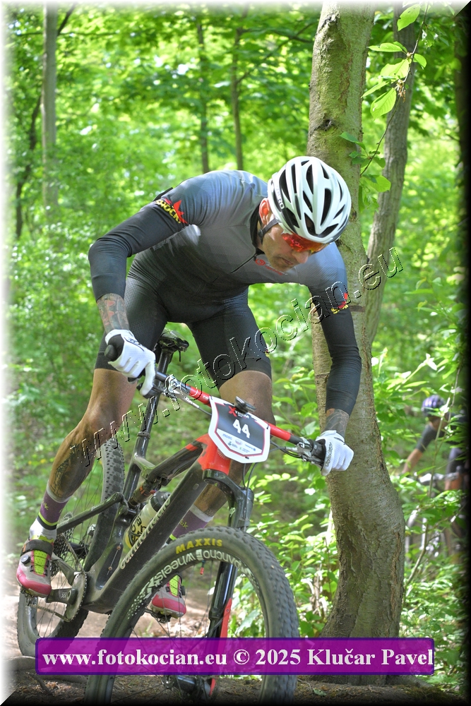 Náhled obrázku: 2025-2517-Most-44.JPG