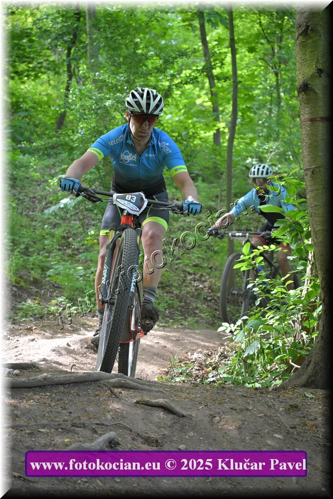 Náhled obrázku: 2025-2523-Most-83.JPG