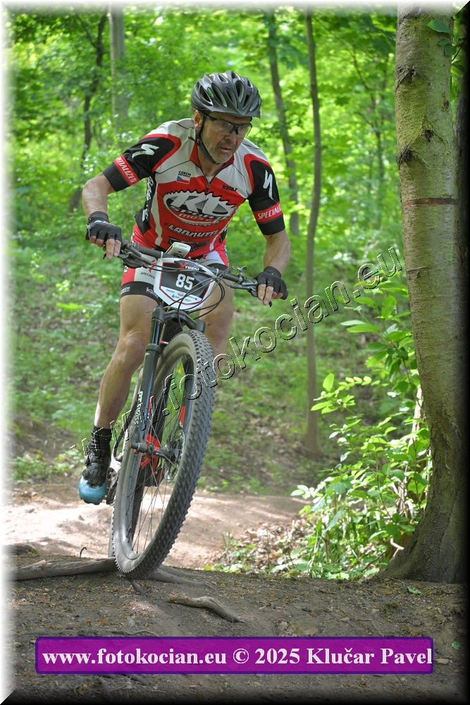 Náhled obrázku: 2025-2529-Most-85.JPG