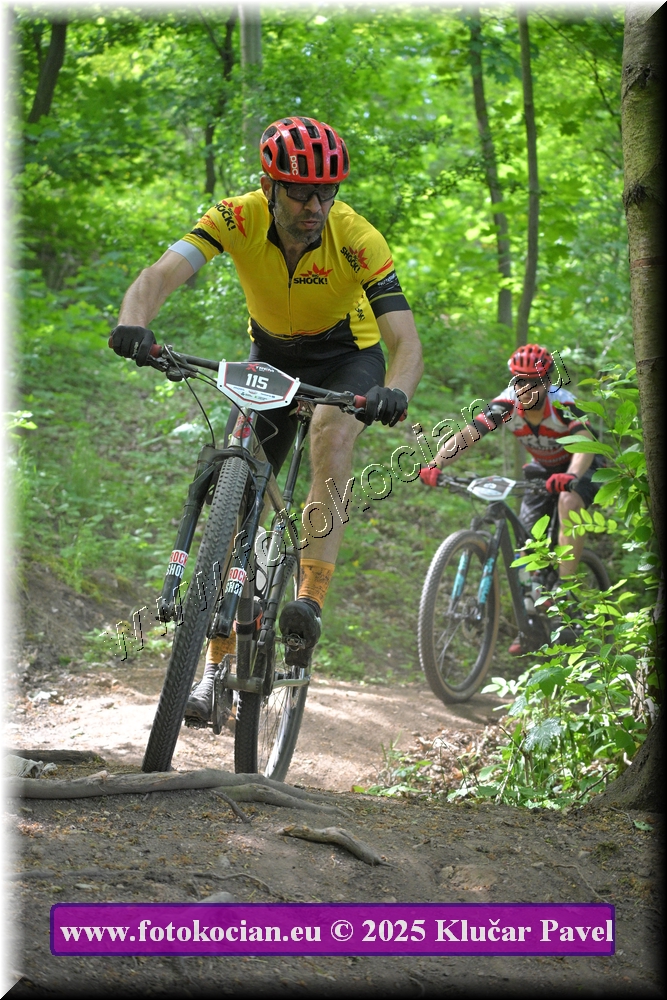 Náhled obrázku: 2025-2532-Most-115.JPG