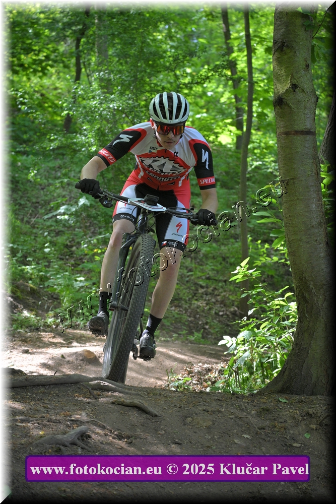 Náhled obrázku: 2025-2569-Most-0.JPG