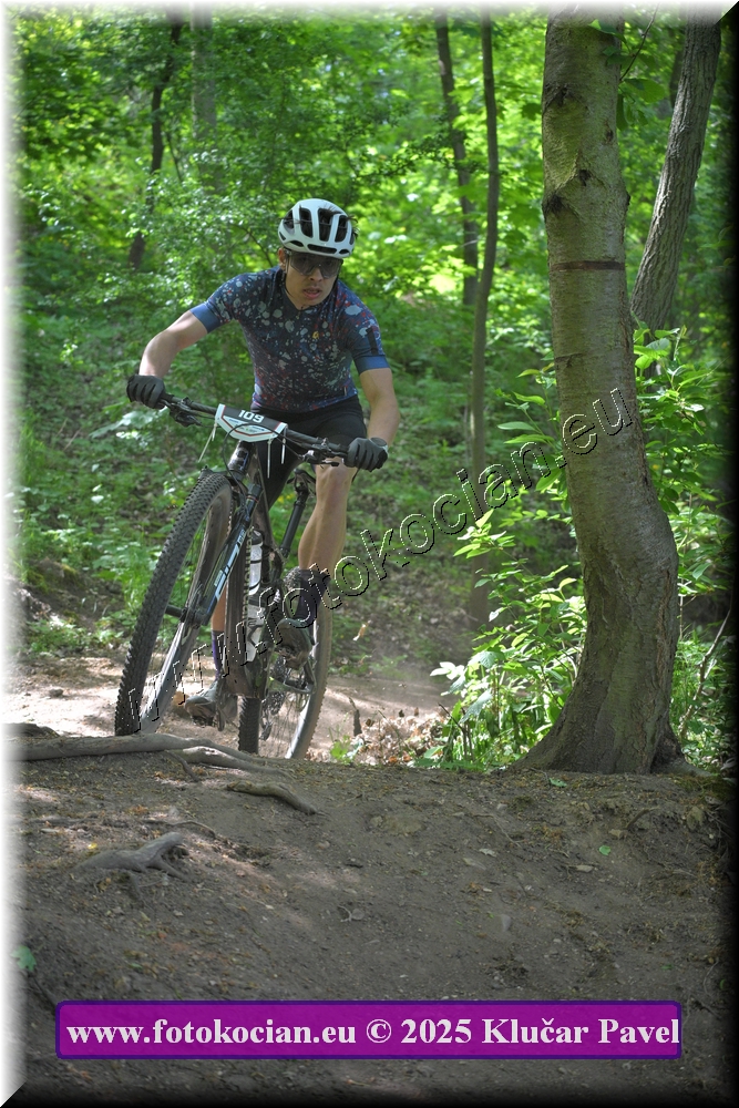 Náhled obrázku: 2025-2576-Most-109.JPG