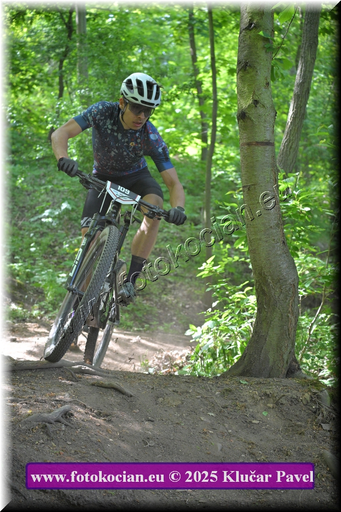 Náhled obrázku: 2025-2577-Most-109.JPG