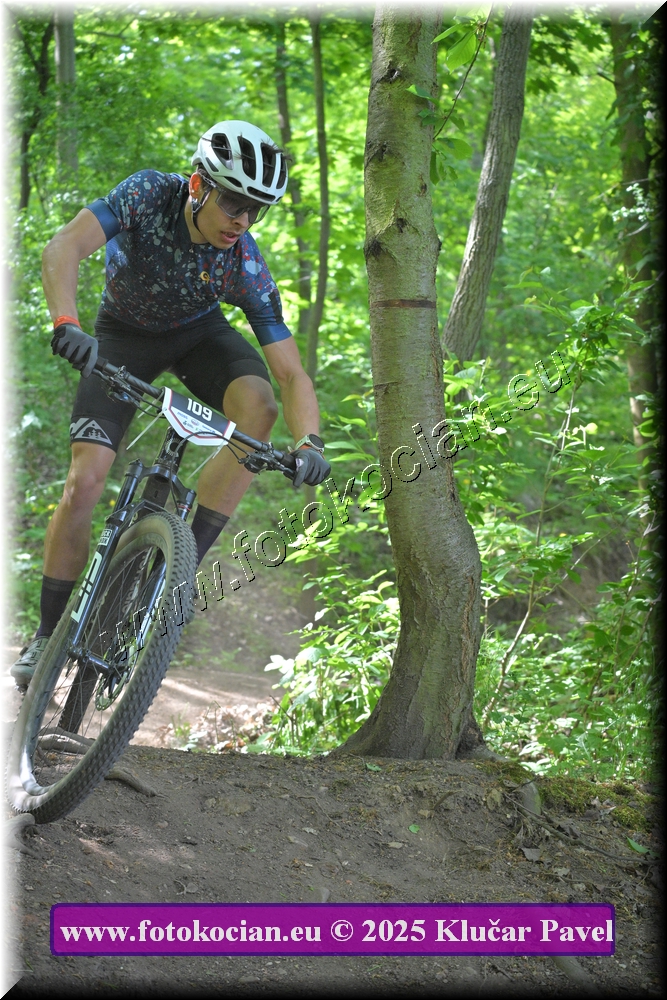 Náhled obrázku: 2025-2578-Most-109.JPG