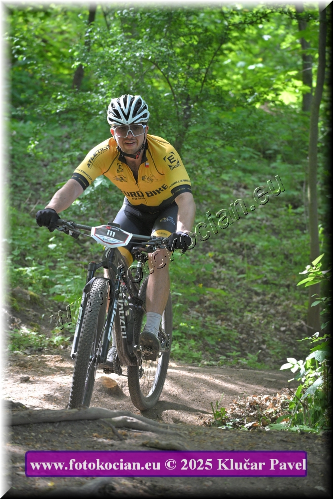 Náhled obrázku: 2025-2580-Most-111.JPG