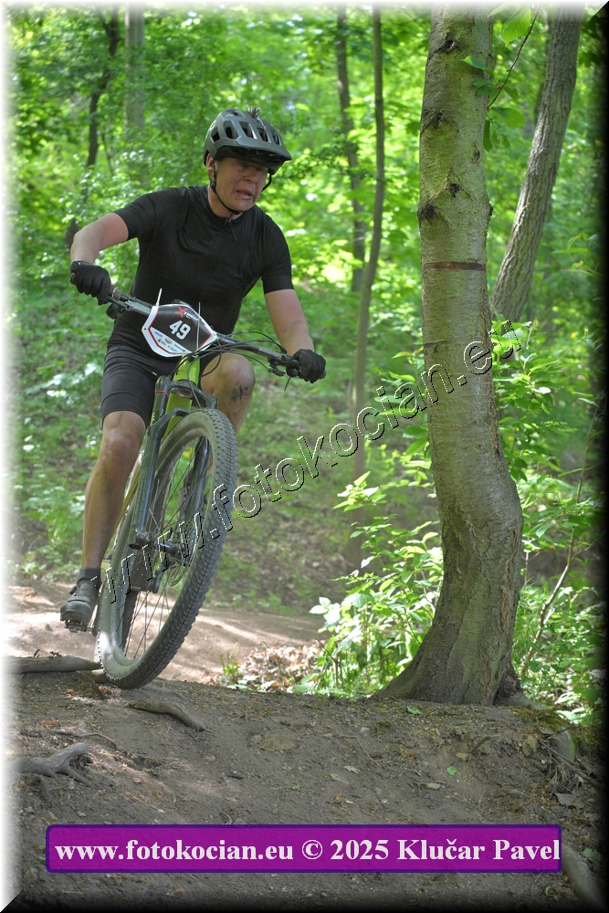 Náhled obrázku: 2025-2584-Most-49.JPG