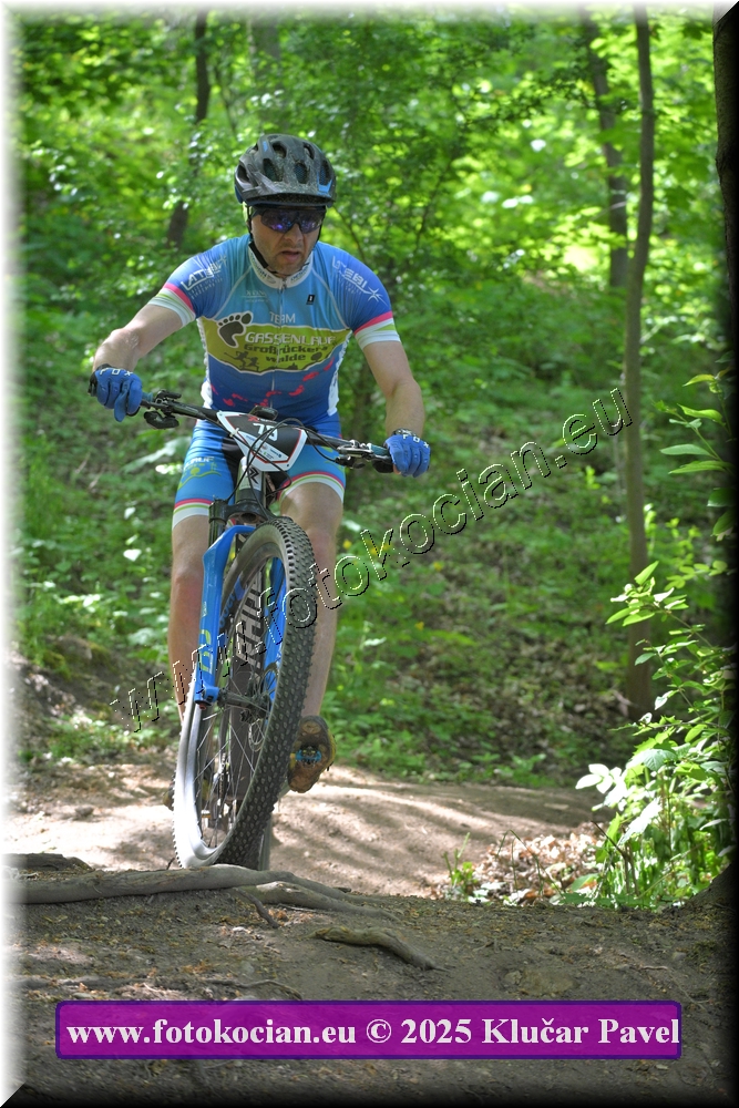 Náhled obrázku: 2025-2592-Most-79.JPG