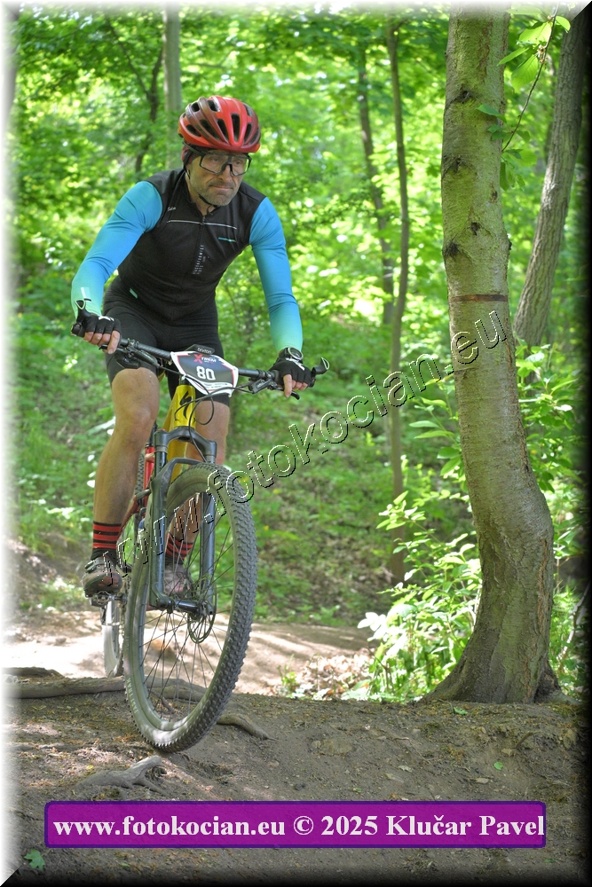 Náhled obrázku: 2025-2595-Most-80.JPG