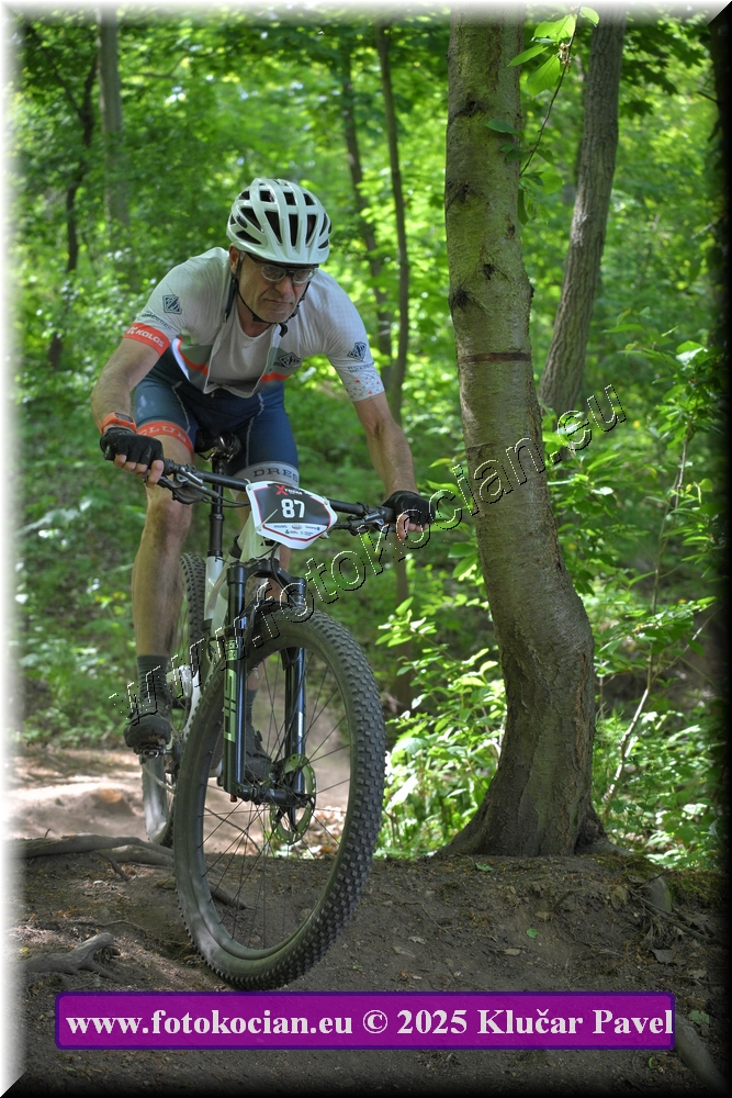 Náhled obrázku: 2025-2599-Most-87.JPG