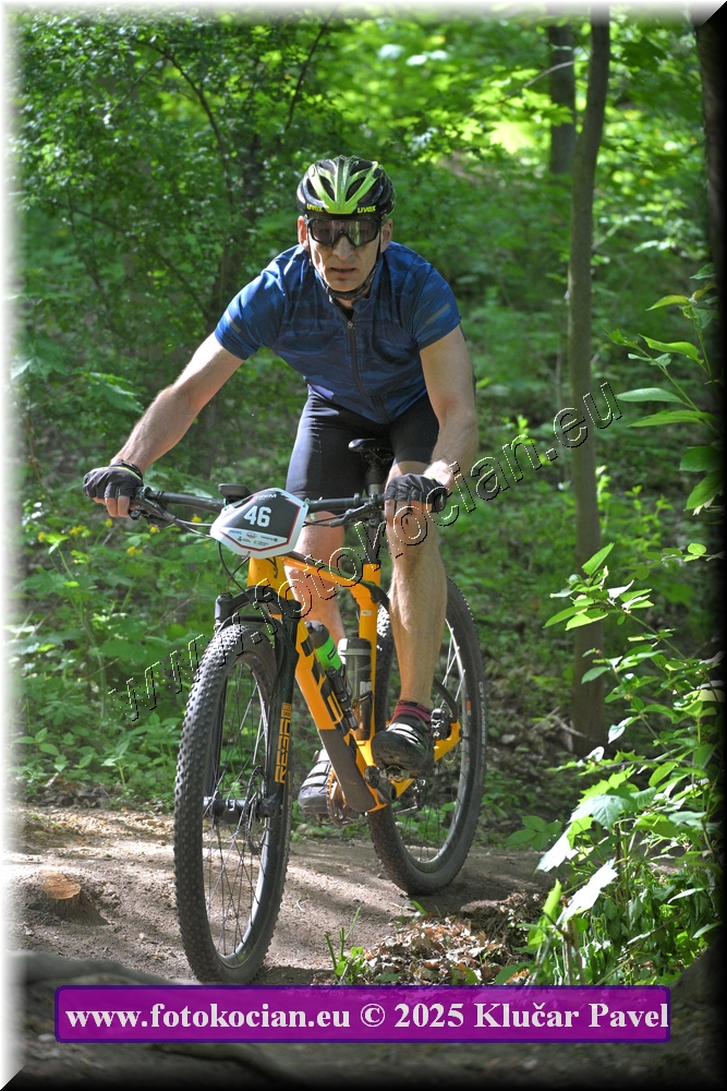 Náhled obrázku: 2025-2608-Most-46.JPG