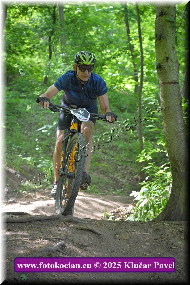 Náhled obrázku: 2025-2610-Most-46.JPG