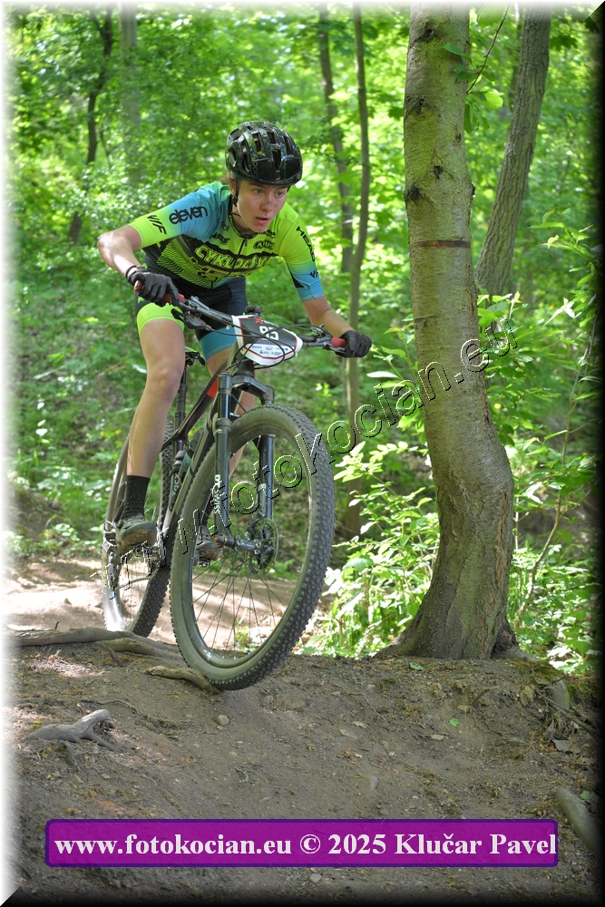 Náhled obrázku: 2025-2627-Most-95.JPG