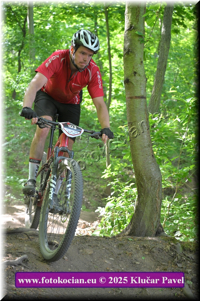 Náhled obrázku: 2025-2648-Most-103.JPG