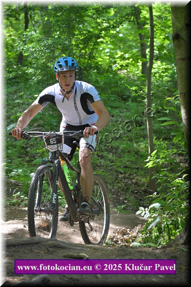 Náhled obrázku: 2025-2650-Most-65.JPG