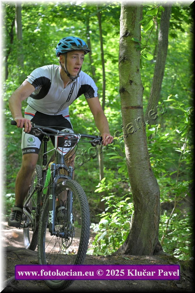 Náhled obrázku: 2025-2652-Most-65.JPG