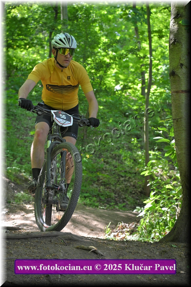 Náhled obrázku: 2025-2674-Most-56.JPG