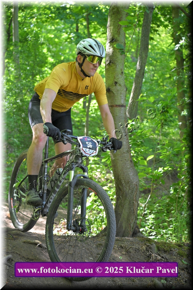 Náhled obrázku: 2025-2676-Most-56.JPG