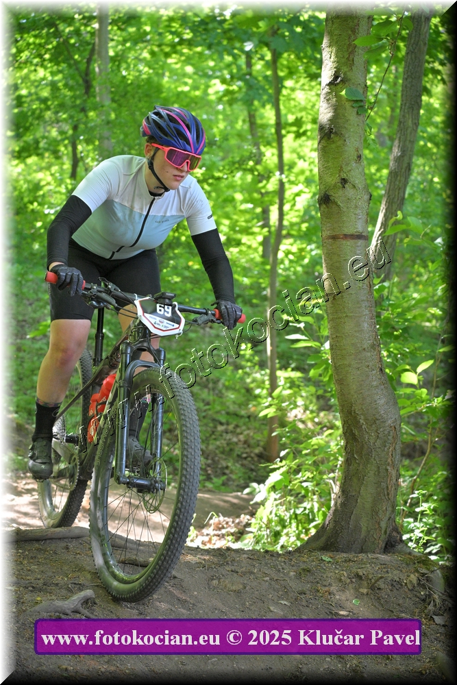 Náhled obrázku: 2025-2679-Most-69.JPG