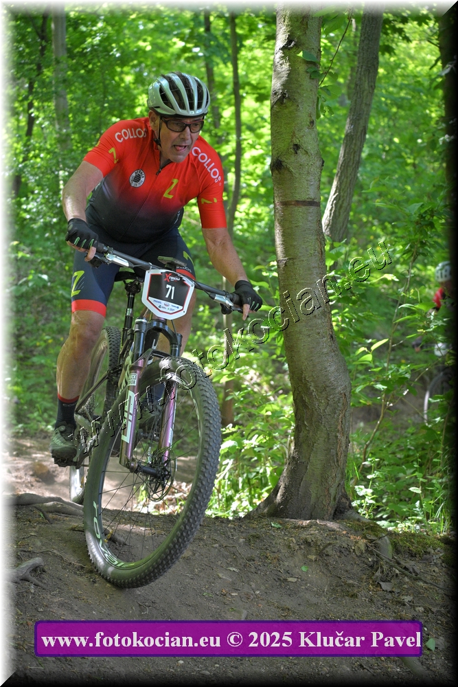 Náhled obrázku: 2025-2694-Most-71.JPG