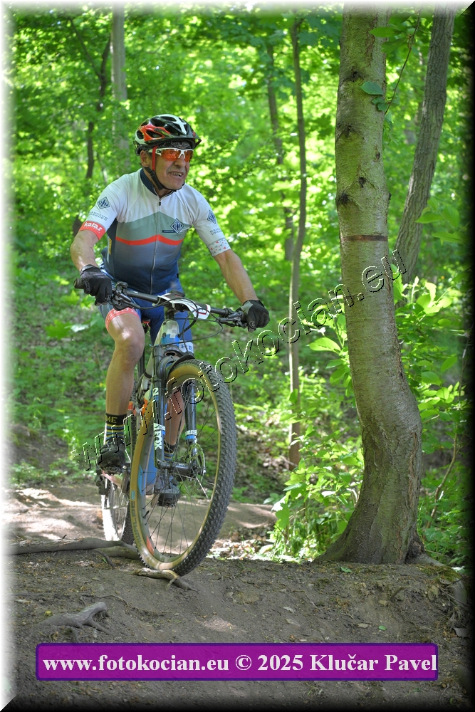 Náhled obrázku: 2025-2719-Most-96.JPG