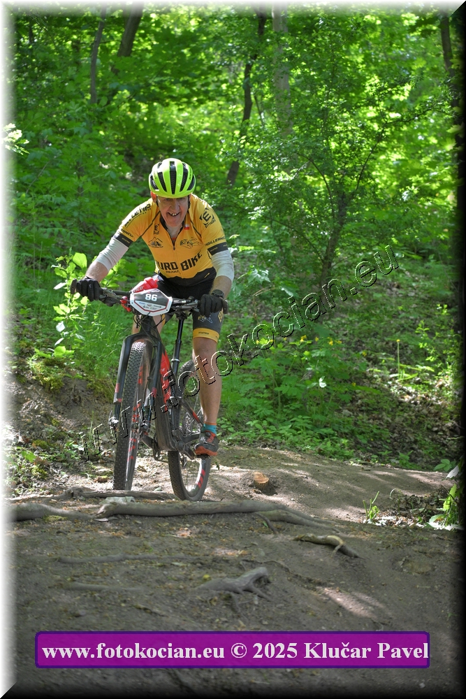 Náhled obrázku: 2025-2726-Most-86.JPG