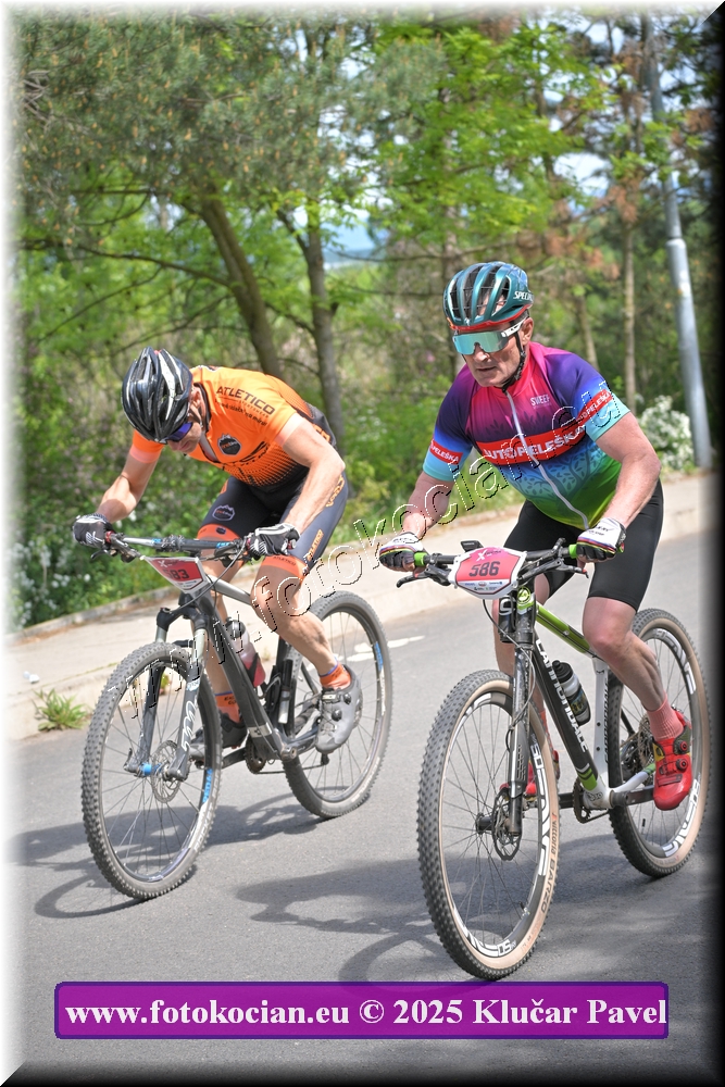 Náhled obrázku: 2025-2765-Most-586.JPG