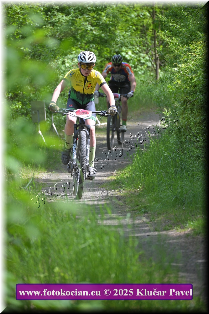 Náhled obrázku: 2025-2828-Most-739.JPG