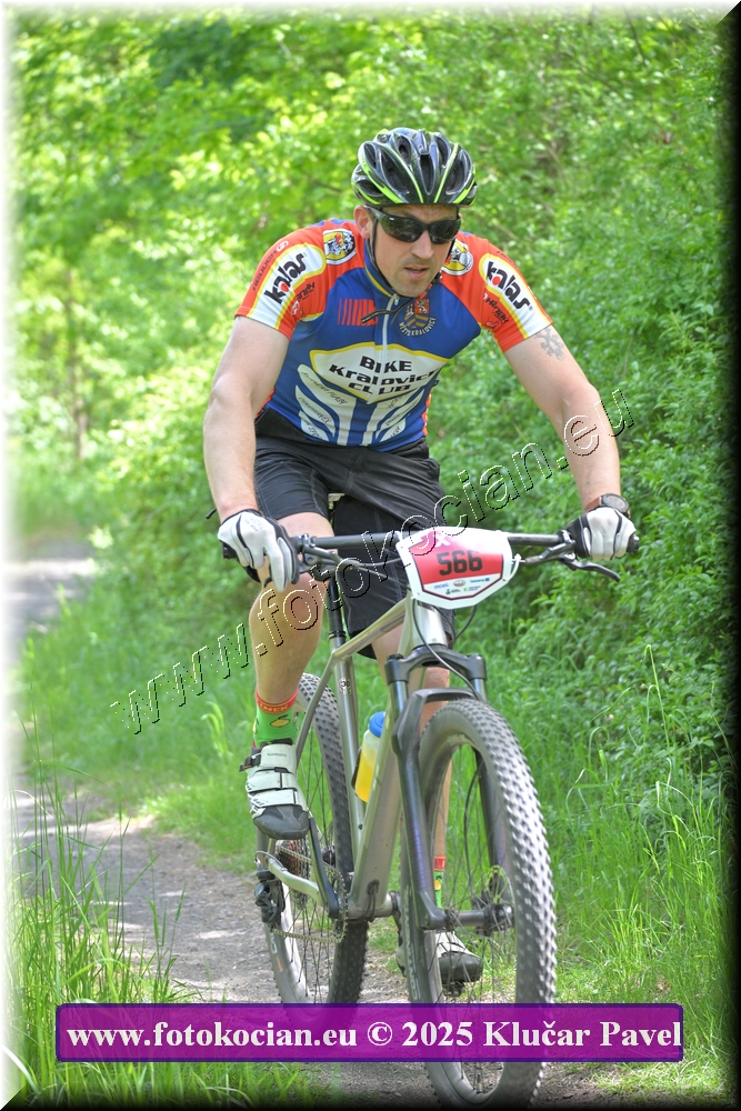 Náhled obrázku: 2025-2832-Most-566.JPG