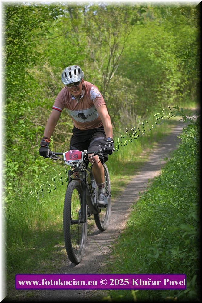 Náhled obrázku: 2025-2865-Most-639.JPG