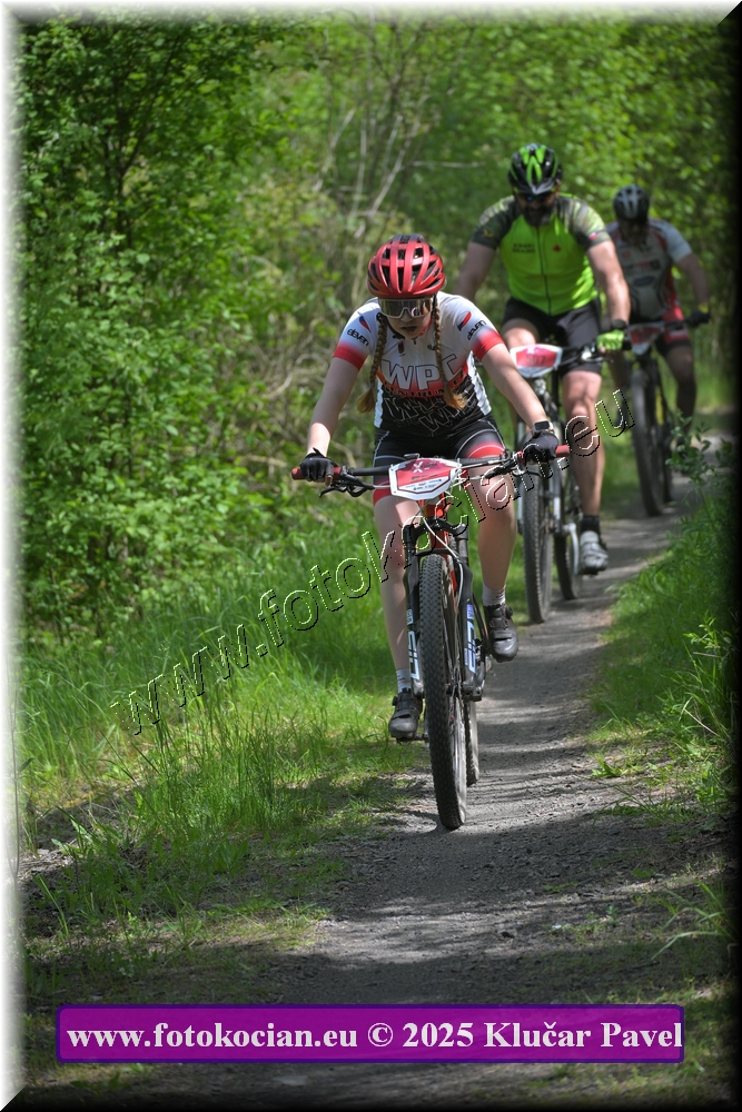 Náhled obrázku: 2025-2916-Most-0.JPG