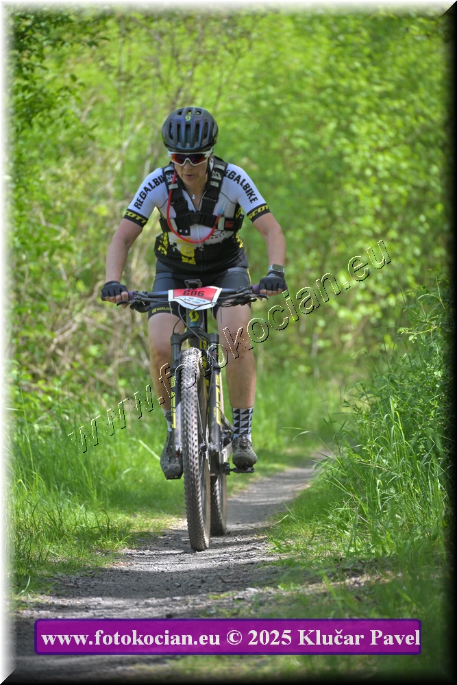 Náhled obrázku: 2025-2947-Most-686.JPG