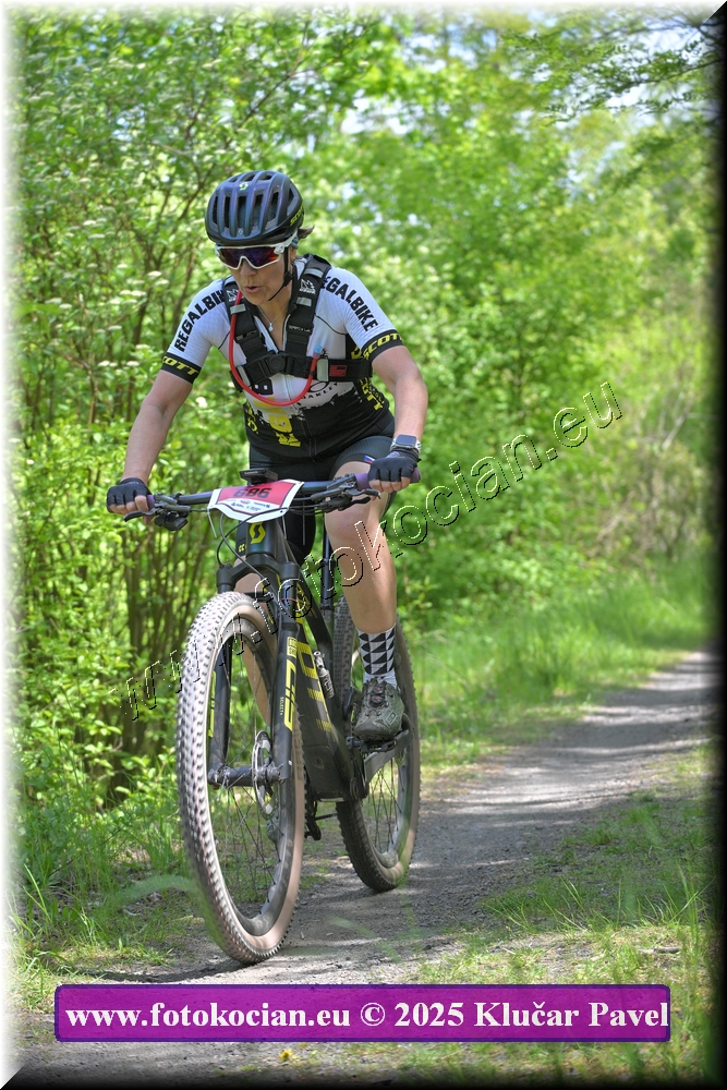 Náhled obrázku: 2025-2948-Most-686.JPG