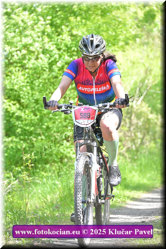 Náhled obrázku: 2025-2981-Most-588.JPG