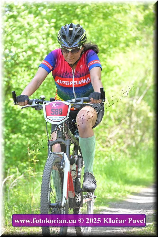 Náhled obrázku: 2025-2982-Most-588.JPG