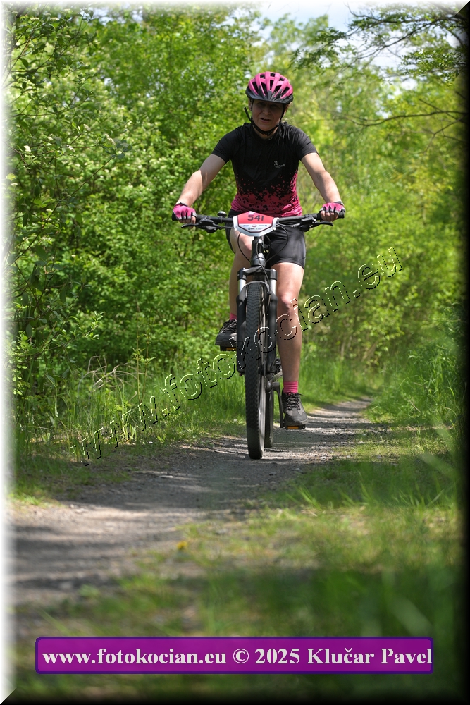 Náhled obrázku: 2025-3064-Most-541.JPG