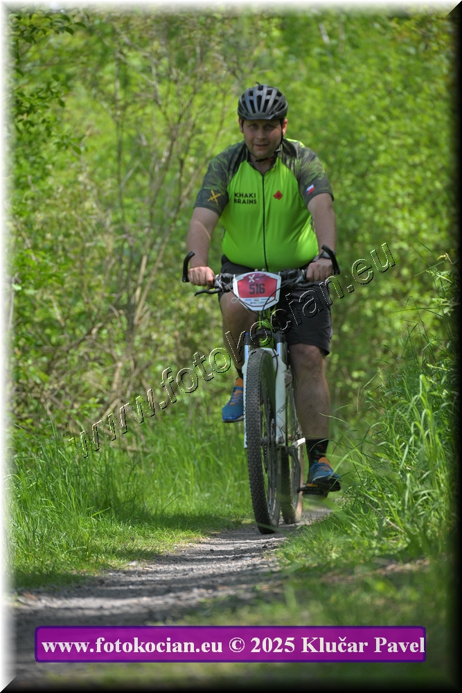 Náhled obrázku: 2025-3102-Most-516.JPG