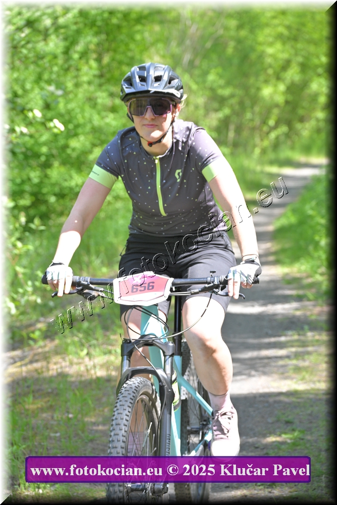 Náhled obrázku: 2025-3125-Most-656.JPG