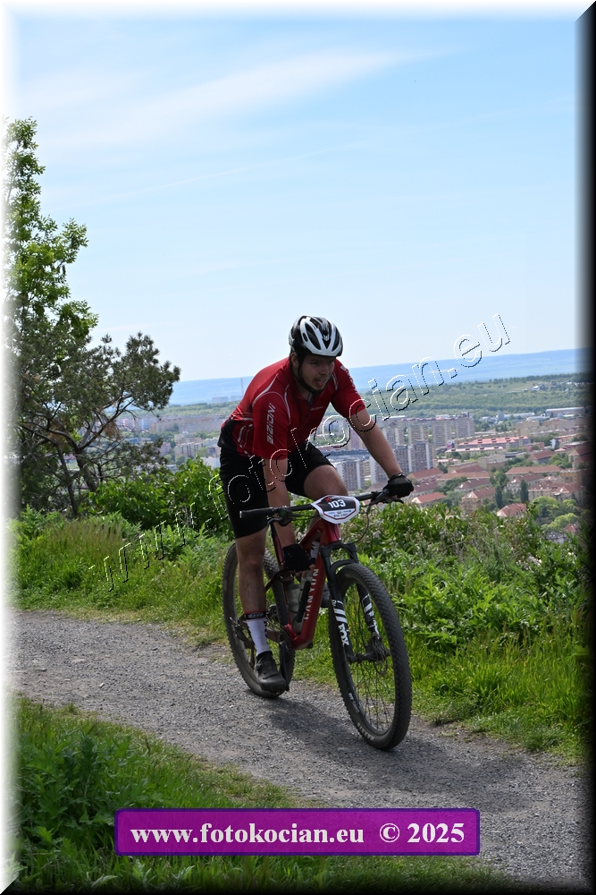 Náhled obrázku: 2025-1283-Most-103.JPG