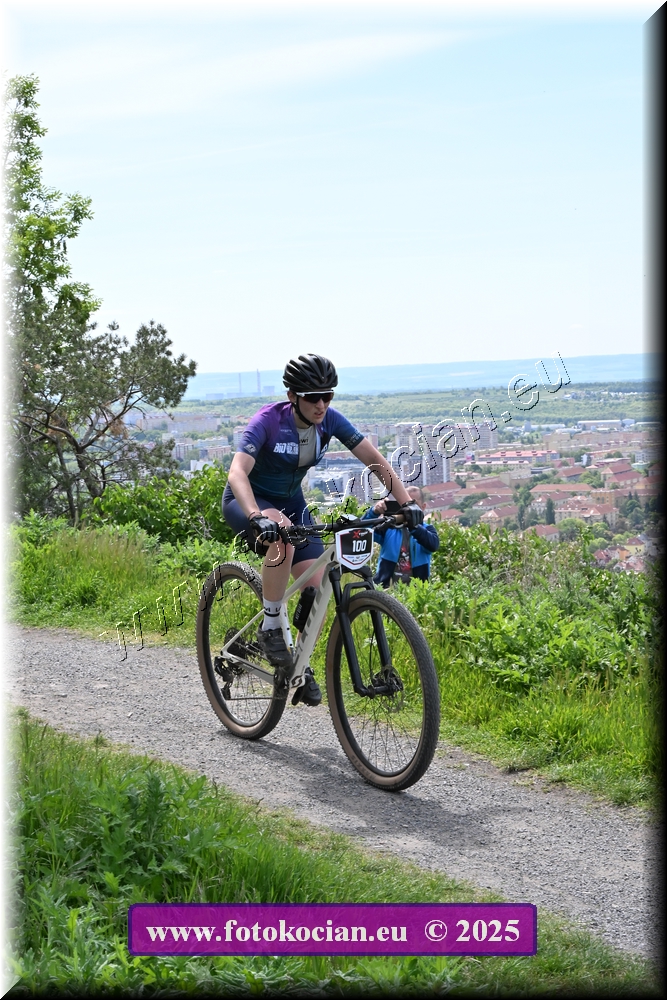 Náhled obrázku: 2025-1289-Most-100.JPG