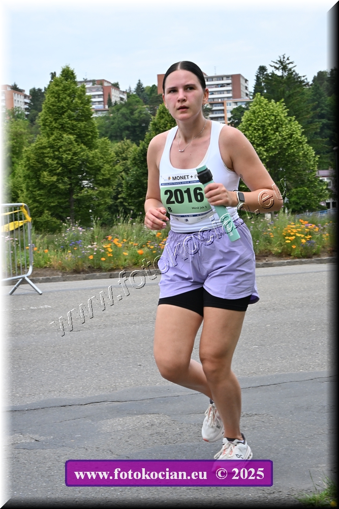 Náhled obrázku: 2025-3875-Zlin-2016.JPG