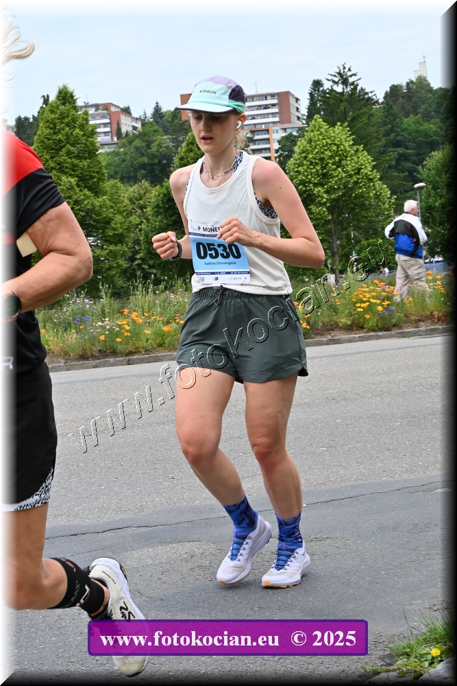 Náhled obrázku: 2025-3916-Zlin-530.JPG