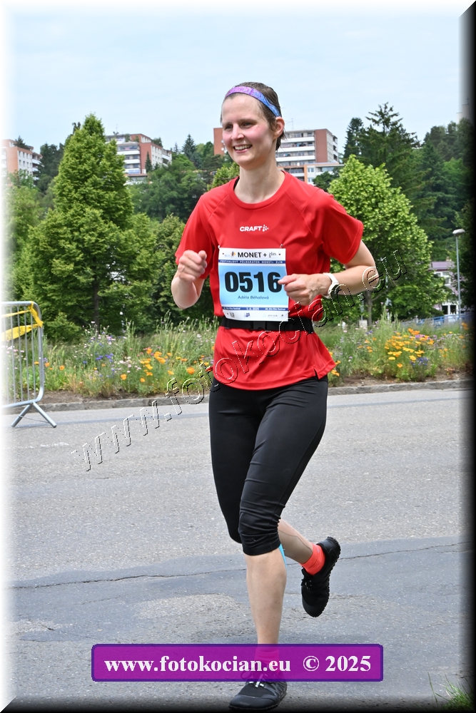 Náhled obrázku: 2025-3933-Zlin-516.JPG