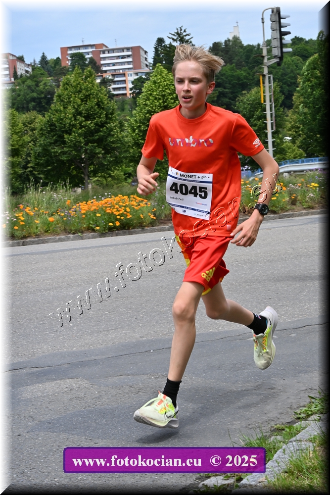 Náhled obrázku: 2025-4006-Zlin-4045.JPG