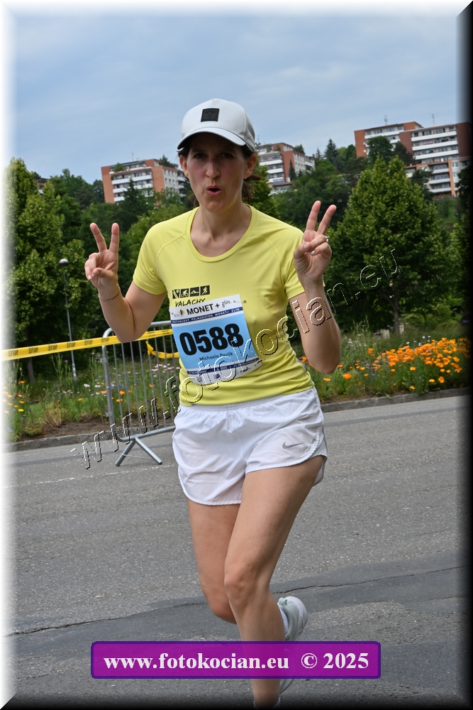 Náhled obrázku: 2025-4120-Zlin-588.JPG